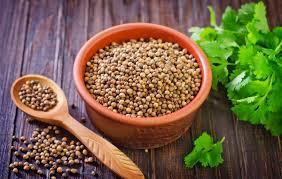 تخم گشنیز 100 گرمی