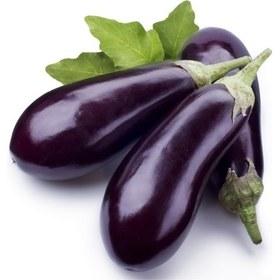 بادمجان گلخونه ای