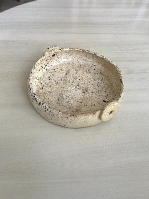 ظرف پذیرایی