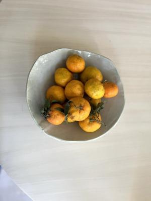 ظرف پذیرایی